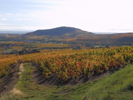 Mont Brouilly.