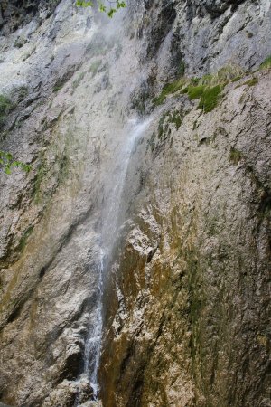 La cascade dorée