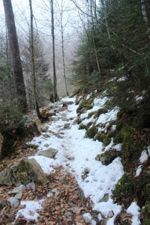 Très peu de neige dans la descente du chalet Bottier
