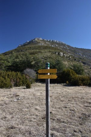 «Colle Basse»  et Vue sur la montée au sommet de «Pré  Chauvin»