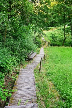 Le sentier sur ponton de bois qui traverse le vallon.