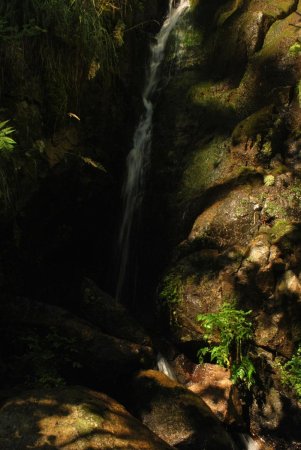 Une très belle cascade vers la fin du sentier des Roches (1)