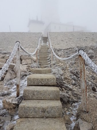 Cet escalier a gagné en beauté, avec le gel !