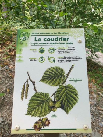 Arboretum des Nantieux
