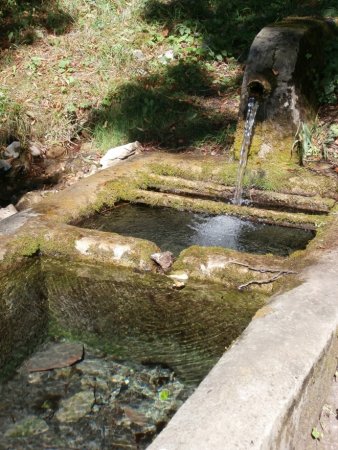 L’eau claire du bassin des Grangeons.