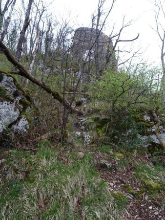 Ruines du château de Montbel