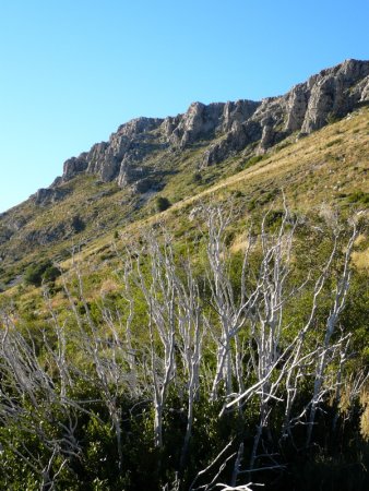 Barres rocheuses de la Grande Plaine depuis les Baumonts.
