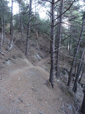 Sentier des Fournaises