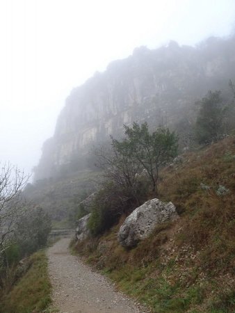 Le long de l’Ardèche
