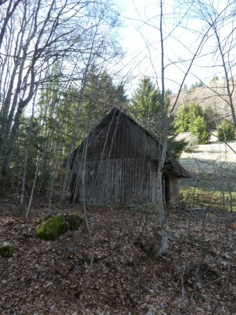 Cabane au fond des bois