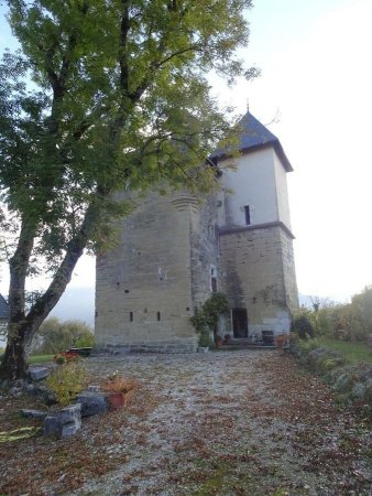Château de Fésigny