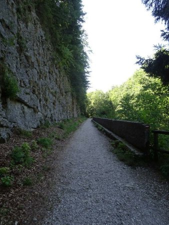 Ancien tracé du Tram du Jura