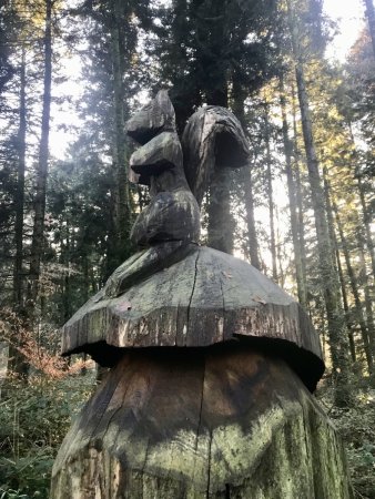 Sculpture sur tronc