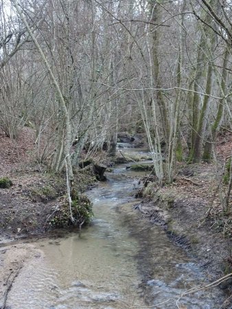 Ruisseau du Sauget