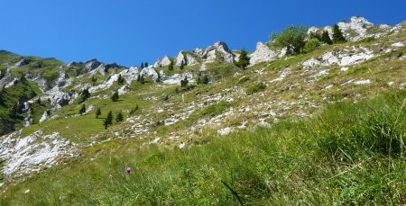 Descente par les Blandis : vue sur l’ensemble de falaises du milieu du versant nord-est