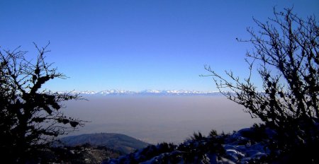 Les Alpes, au loin, au-dessus de la brume.