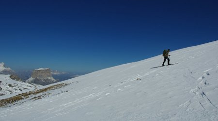 Le Mont Aiguille en toile de fond.