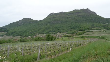 Vue en arrière sur Jongieux-le-Haut et le mont de la Charvaz.