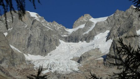 Entre les mélèzes : glacier de Frébouze.