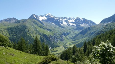Vallée du Ponturin, Mont Pourri...