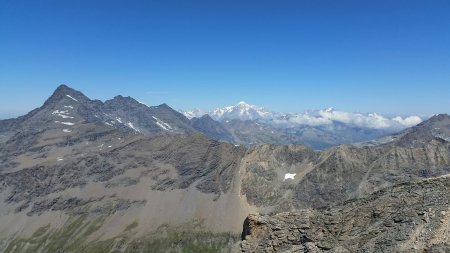 Le massif du Mont-Blanc de Tré-la-Tête au Dolent