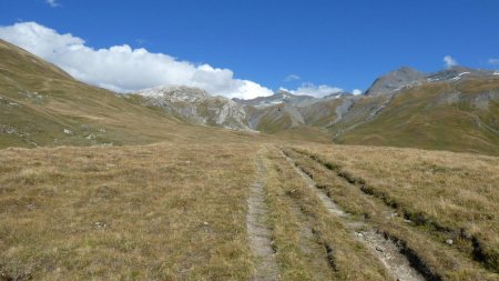 Descente du vallon  de la Rocheure jusqu’au refuge de la Femma.