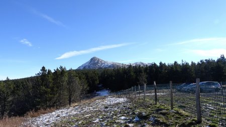 Le mont Mézenc dans le rétro.
