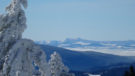 Les étendues blanches du Mont Mézenc.