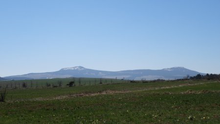 Mont Mézenc et mont d’Alambre.
