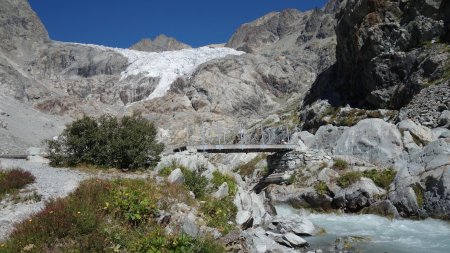 Passerelle du torrent du Glacier Blanc