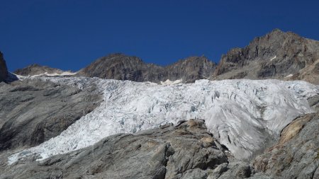 Glacier Blanc au zoom vu de la base du Glacier Jean Gauthier