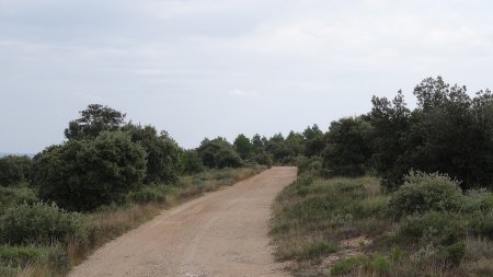 La piste vers le sommet de la colline du Devançon.