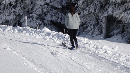 Une nouvelle manière de skier ?