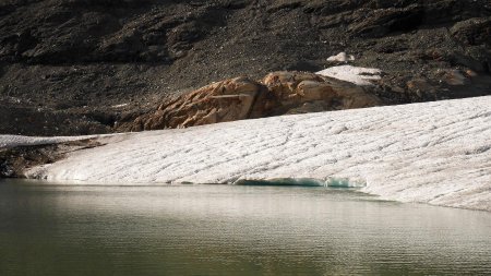 Le glacier termine son lent voyage dans le lac.