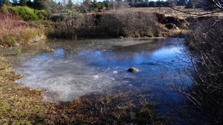 Le petit étang est gelé.