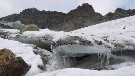 Au contact du glacier du Montet.