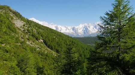 Du Mont Blanc aux Grandes Jorasses.