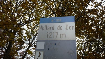Panneau sommital du Mollard de Don