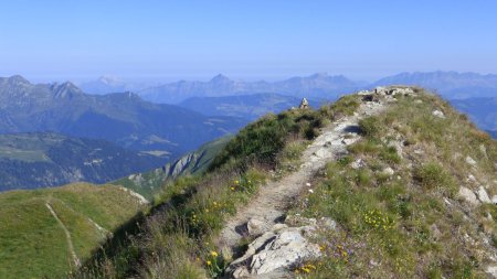 Le sommet, au loin la Tournette, massif Bornes/Aravis