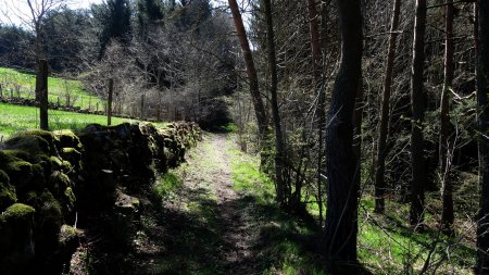 Le chemin qui mène au site du volcan de Montpeloux.