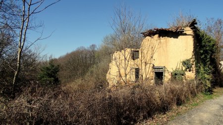 Ruines à la Font du Cercle.