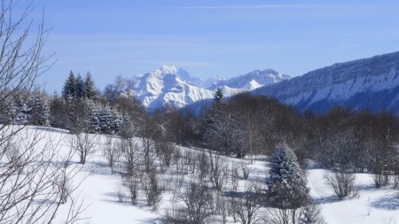 Le Trélod, le Mont Blanc