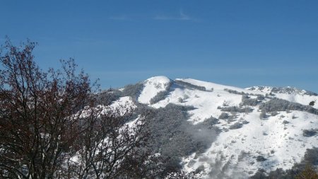 Mont Morbié