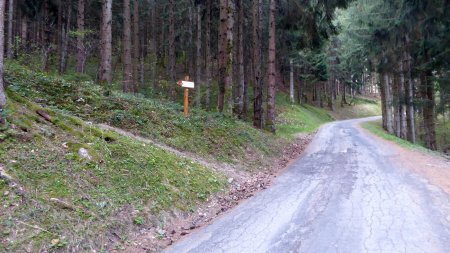 Route du col des Cyclos, sentier à gauche