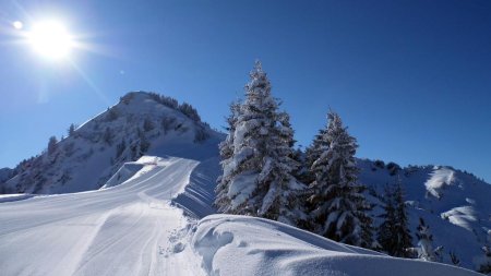 La piste de ski