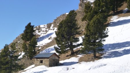Cabane forestière de Costebelle (2371m)