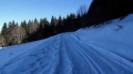 En semaine les pistes de ski de fond sont désertes.