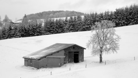 Le vent était de la partie, pas de neige sur le toit de la grange.
