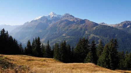 Mont Pourri vu de l’alpage de la Roche.