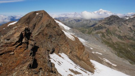 Ormelune au premier plan, massif du Mont-Blanc au fond.